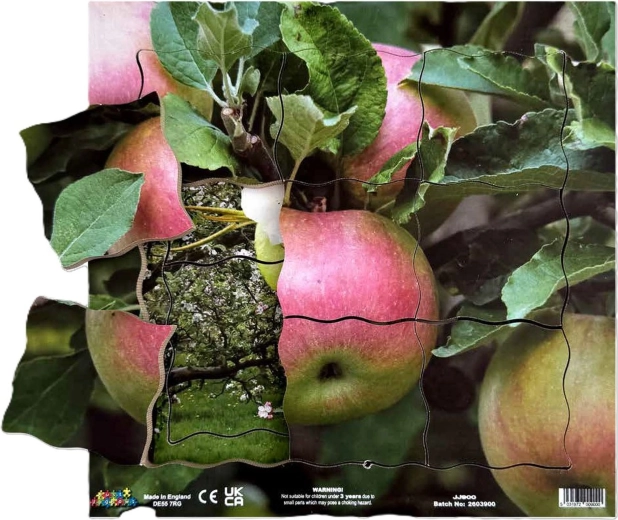 Just Jigsaws La manzana y sus fases de crecimiento vegetativo: puzzle de madera por capas, 19 piezas