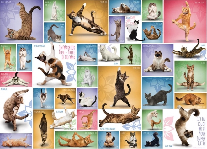 Puzzle Yoga de gatos 1000 piezas