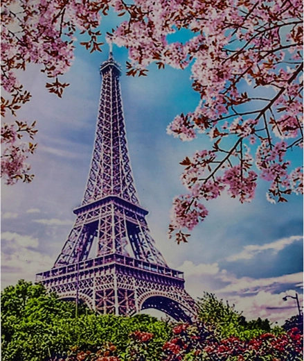 Norimpex pintura por números Torre Eiffel sobre fondo de flores 40 × 50 cm