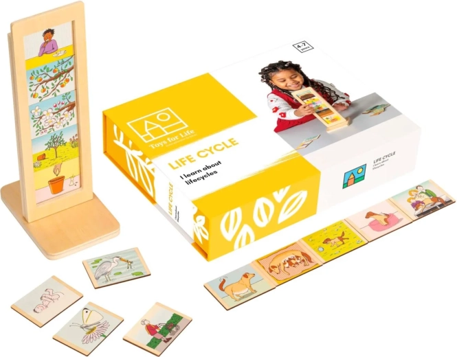 Toys for Life ciclos de vida – set educativo con tarjetas