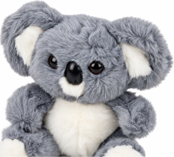Diseño adorable de koala