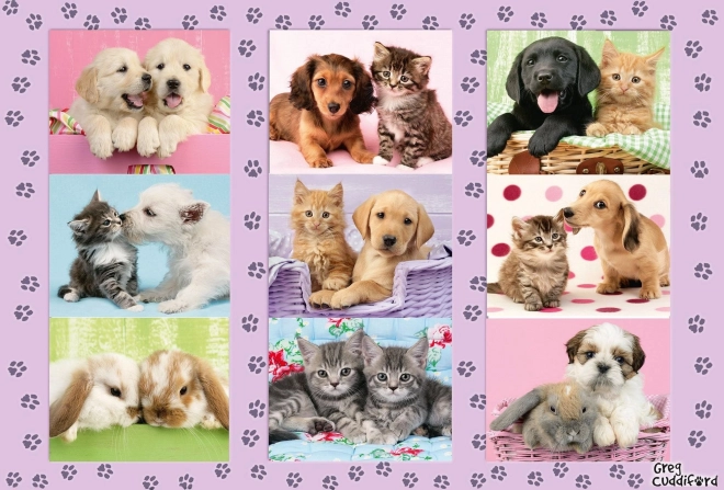 Puzzle Schmidt Mis amigos animales 100 piezas