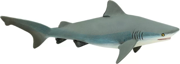 Figura de tiburón blanco (tiburón toro) Safari Ltd.