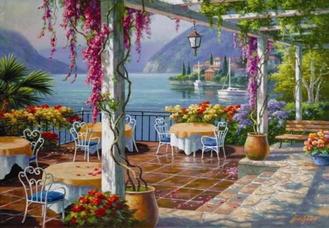 Puzle Terraza con glicinas 500 piezas