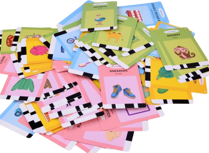 224 tarjetas temáticas con ilustraciones destacadas