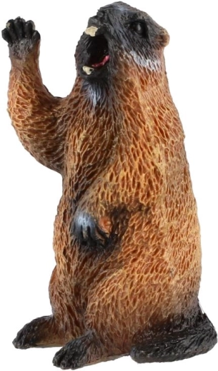 Motivo realista de marmota