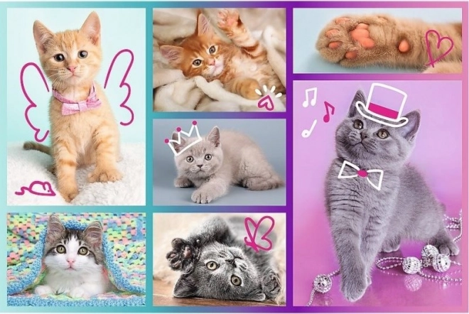 Puzle de 60 piezas – adorables gatitos TREFL