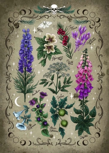 Puzzle Plantas Venenosas 1000 piezas