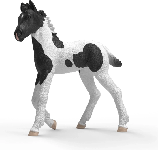 Schleich Horse Club potrillo coleccionable Rocky - 1 unidad