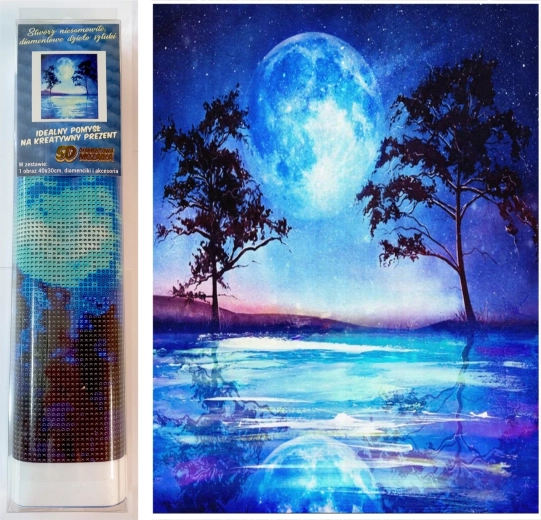 Norimpex pintura de diamantes delfín azul 30 × 40 cm