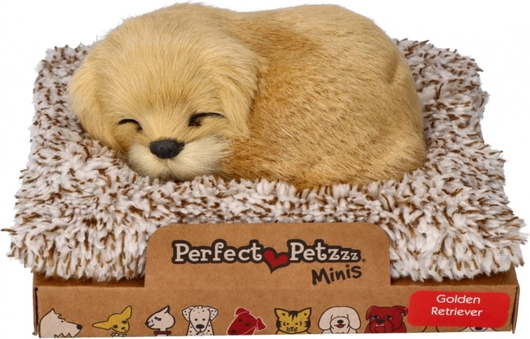 Golden retriever ladrador en su camita