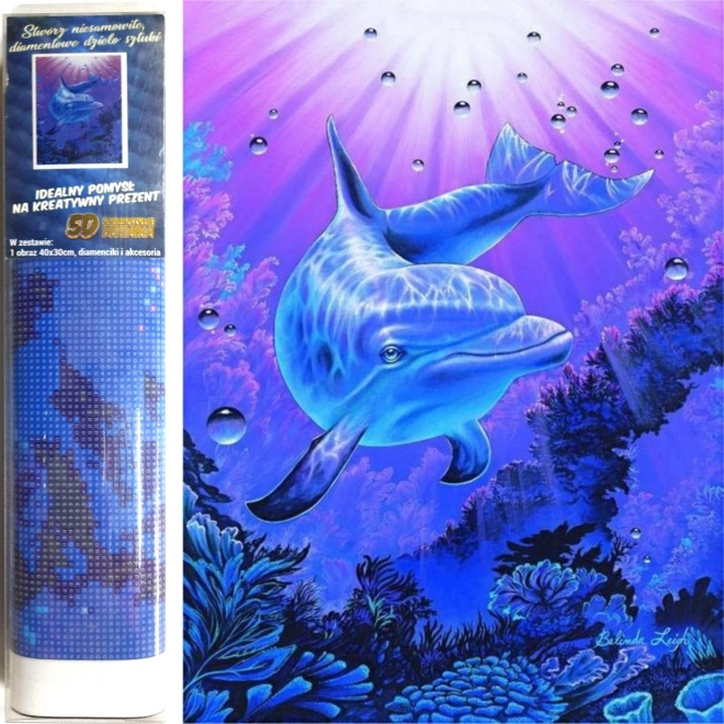Norimpex pintura de diamantes delfín 30 × 40 cm