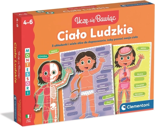 Cuerpo humano – puzle educativo para niños de 4 a 6 años