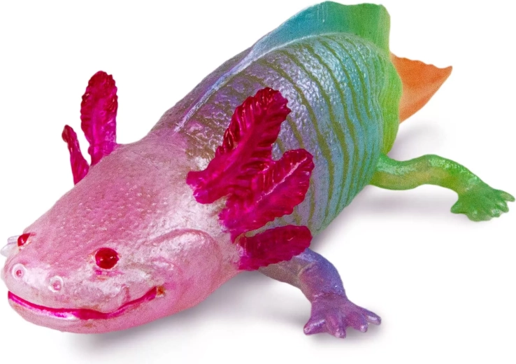 Fantástica coloración arcoíris y detalles realistas