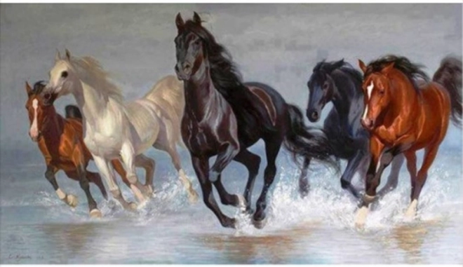 Pintura de diamantes NORIMPEX – manada de caballos 80 × 40 cm