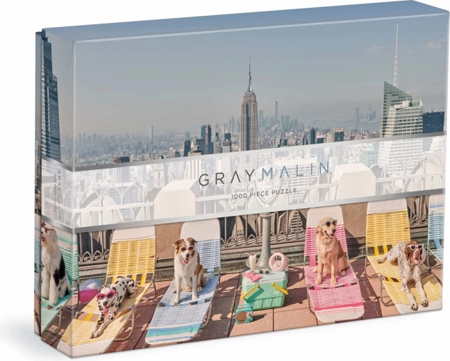 Puzzle Gray Malin perros en Nueva York 1000 piezas