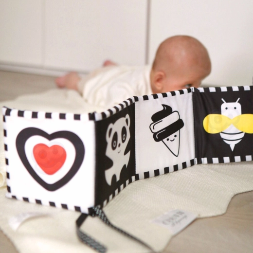 Estimulación visual de alto contraste