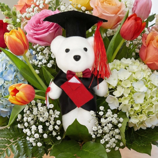 Regalo: osito para graduado de 13 cm