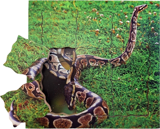 Just Jigsaws Serpiente y su ciclo de vida, rompecabezas de madera por capas