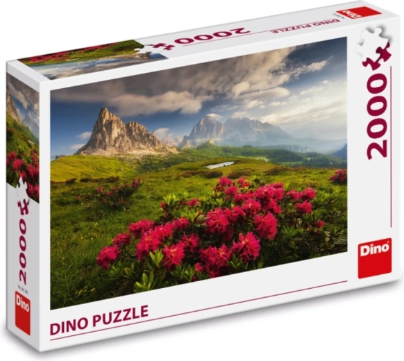 Acabado de calidad DINO
