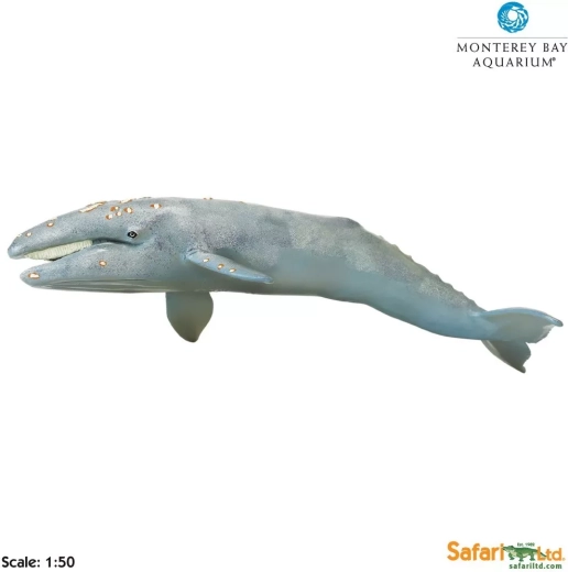 Safari Ltd. rorcual gris