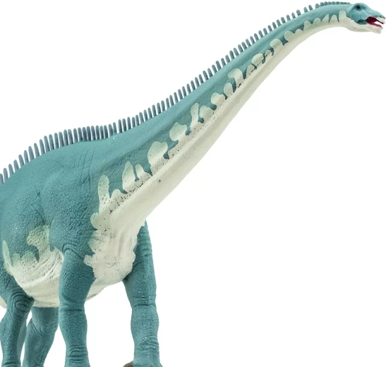 Diseño seguro y ecológico de Safari Ltd.