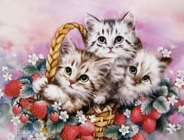 Norimpex pintura de diamantes Gatitos en una cesta 30 × 40 cm