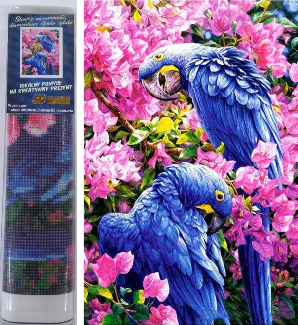 Norimpex pintura de diamantes loros azules 30 × 40 cm