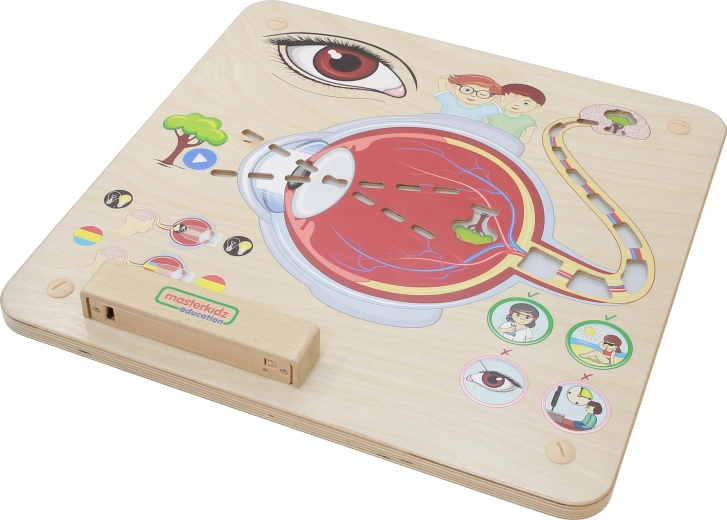 Masterkidz Tablero Educativo Vista Montessori