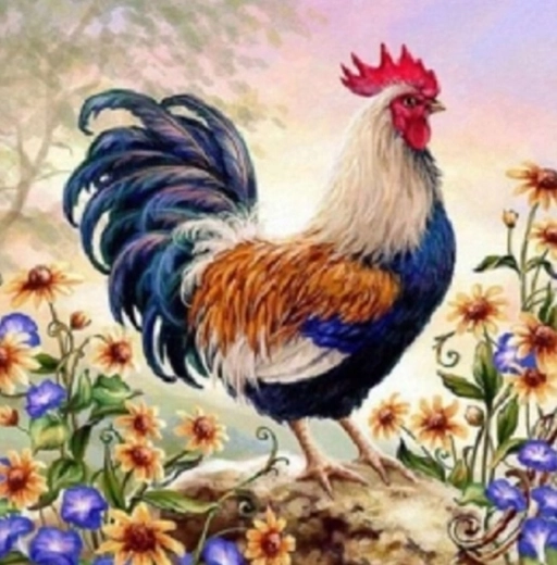 Norimpex pintura por números Gallo entre flores 40 × 50 cm