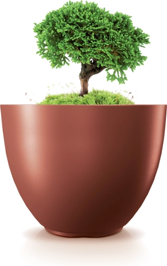 Diseño minimalista moderno