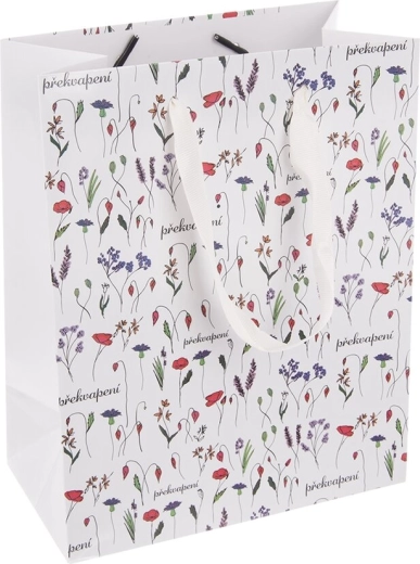 Bolsa de regalo de papel Sorpresa (CZ) 18 × 10 × 23 cm