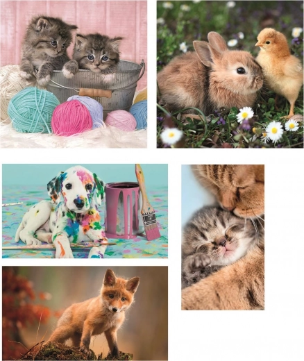Adorables motivos de animales