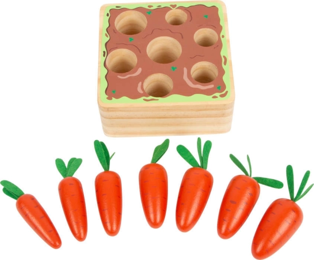 Siete zanahorias de distintos tamaños