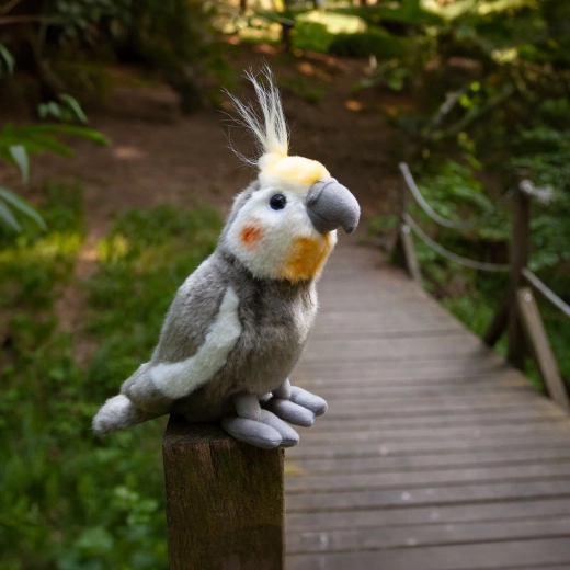 Opción segura para los más pequeños