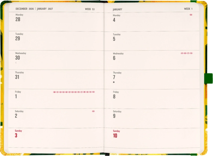 Calendario horizontal quincenal para una visión clara