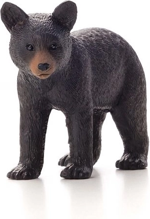 Mojo Osezno de oso baribal