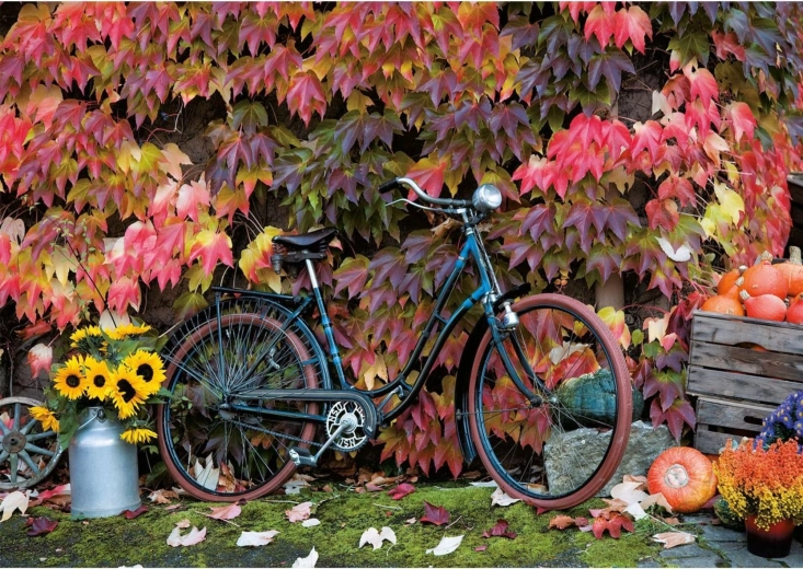 Puzzle Magia del otoño 1000 piezas PIATNIK