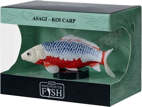 Mojo carpa koi asagi en caja - 1 unidad