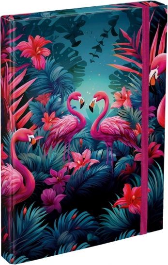 BAAGL Carpetas para cuadernos escolares A4 Flamencos