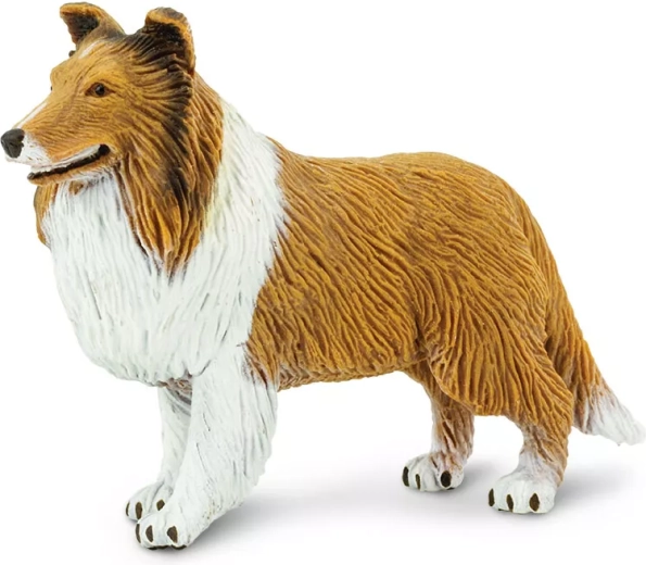 Figura de collie Safari Ltd. - 1 pieza