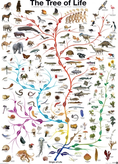 Puzzle EUROGRAPHICS Árbol de la vida 1000 piezas