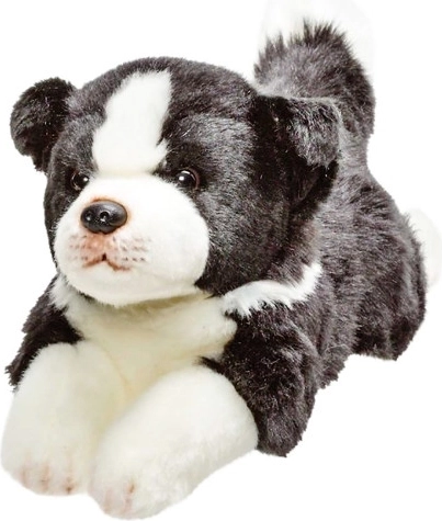 Perro de peluche border collie 30 cm