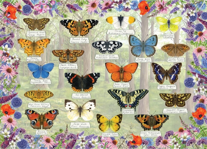 Puzzle Mariposas Hermosas 1000 piezas