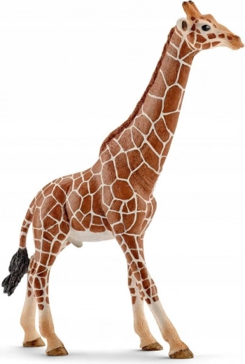 Figura de jirafa macho Schleich Wild Life