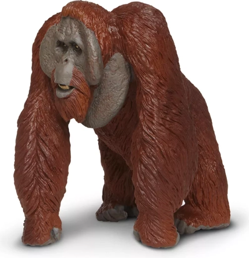 Una figura para pequeños y grandes exploradores