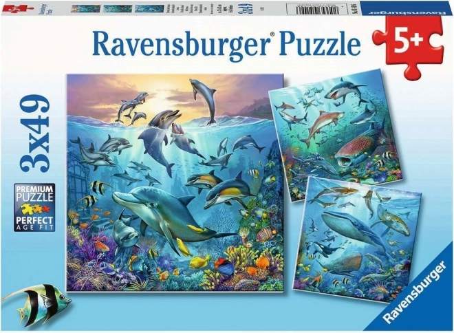 Puzzle Ravensburger Ocean Life 3 × 49 piezas