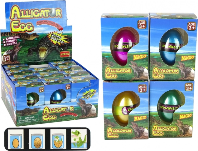 Huevo creciente de aligátor cocodrilo 6 cm