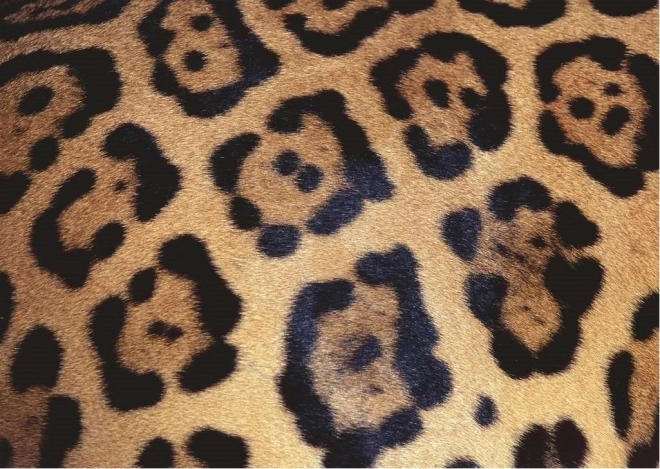 Reto de puzzle Ravensburger: estampado animal de 1000 piezas