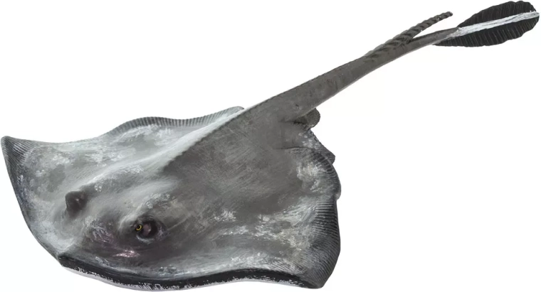 Figura de mantarraya Safari Ltd. - 1 pieza